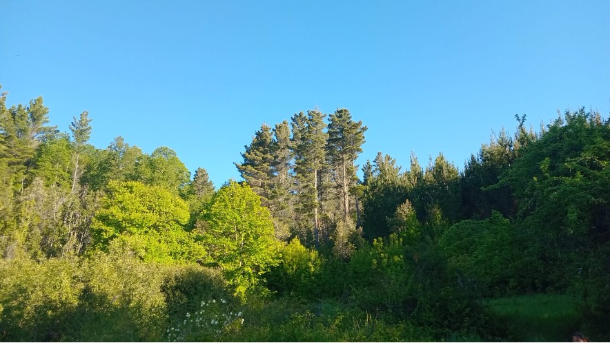 Rinconada de la herradura